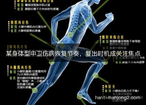 某身体型中卫伤病恢复节奏,复出时机成关注焦点 某身体型中卫伤病恢复节奏,复出时机成关注焦点